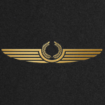 std-gold-wings-icon